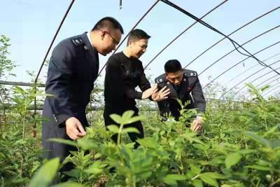 广安市前锋区:税务赋能助力农业产业跑出“加速度”